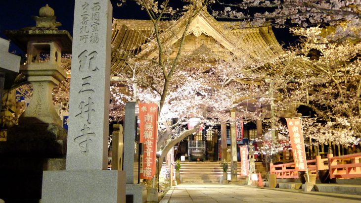関西の一番桜を告げる紀三井寺のサクラ参りと周辺観光2019