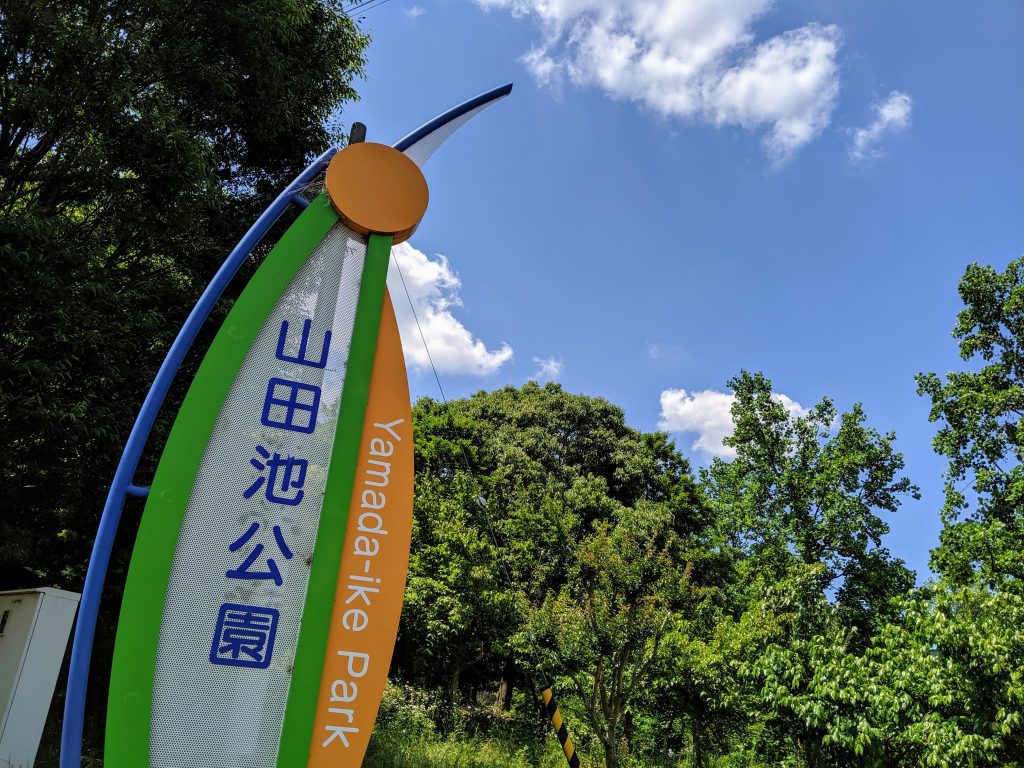 山田池公園 花しょうぶ園が見ごろを迎えましたよ19 I Can Go